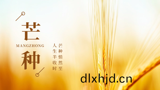 國晉消防：今日芒(mang)種