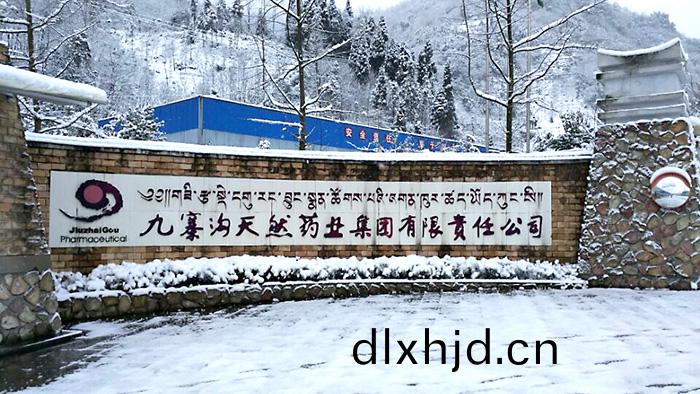 四(si)川(chuan)九(jiu)寨溝天然(ran)藥業生産(chan)項(xiang)目消(xiao)防(fang)維(wei)保(bao)項(xiang)目 (1)-700