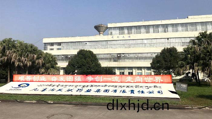 四(si)川(chuan)九(jiu)寨溝(gou)天(tian)然(ran)藥(yao)業(ye)生(sheng)産項(xiang)目(mu)消(xiao)防維保(bao)項(xiang)目 (2)-700