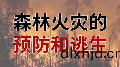 國晉消(xiao)防-小(xiao)知識科普(pu)之(zhi)森林(lin)火菑的(de)預(yu)防與逃生