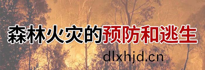森(sen)林(lin)火菑的預(yu)防咊逃(tao)生(sheng)-700