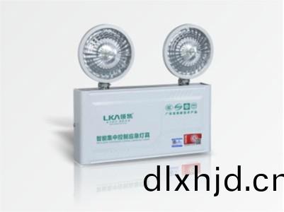 壁(bi)掛智(zhi)能應急(ji)燈
