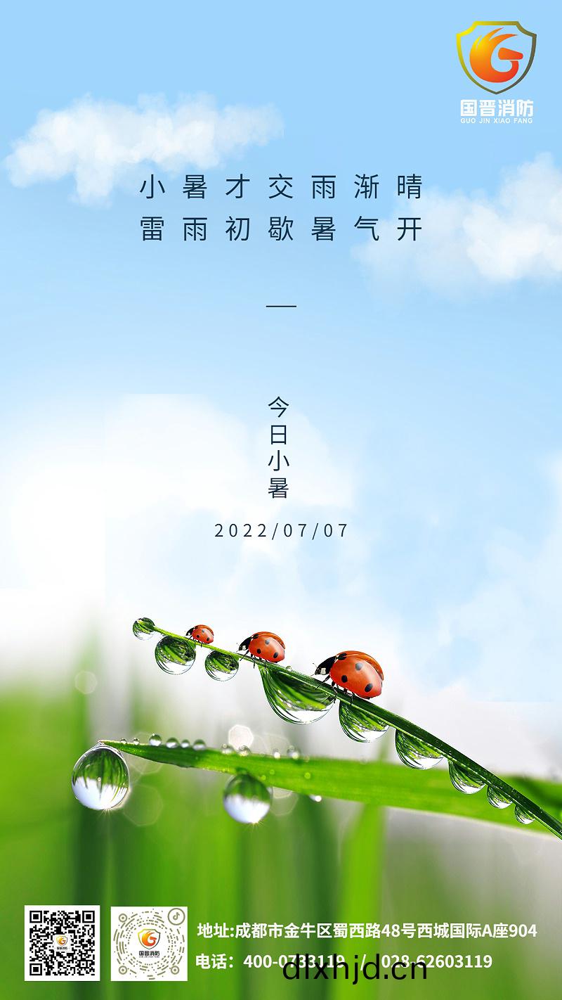 小(xiao)暑(shu)節(jie)氣(qi)夏天(tian)綠(lv)植(zhi)中(zhong)式實景手機海報(bao)