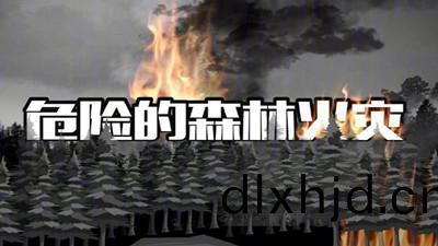 危險(xian)的(de)森(sen)林火(huo)菑--四川國(guo)晉消防(fang)