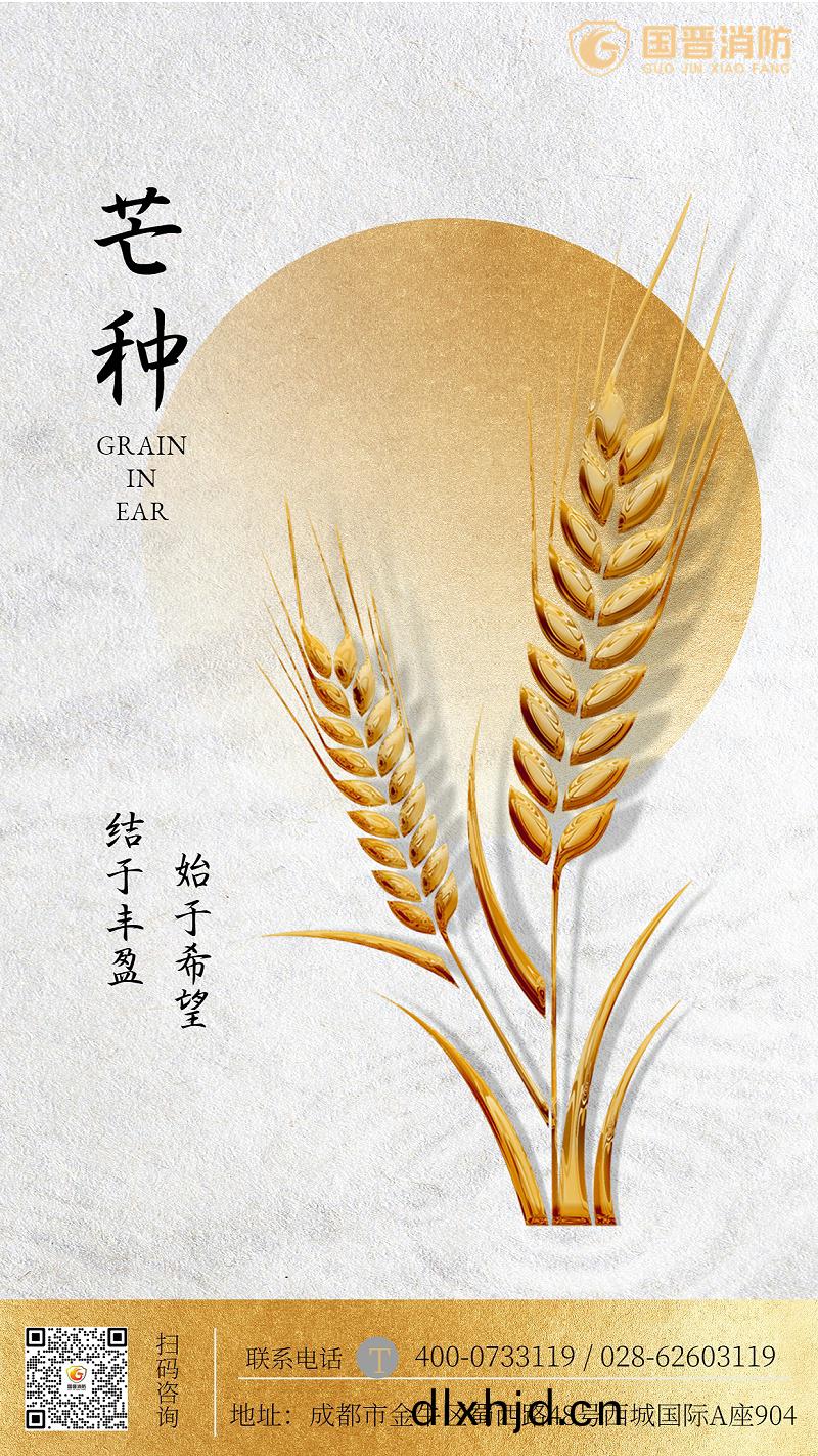 金(jin)螎(rong)保險(xian)芒(mang)種節(jie)氣(qi)祝(zhu)福簡(jian)約海(hai)報