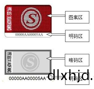 辨(bian)真僞4